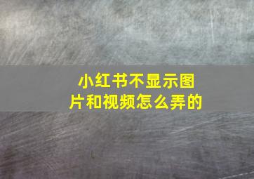 小红书不显示图片和视频怎么弄的