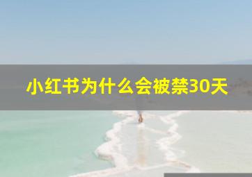 小红书为什么会被禁30天