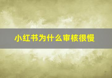 小红书为什么审核很慢