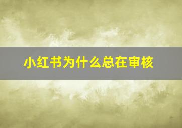 小红书为什么总在审核