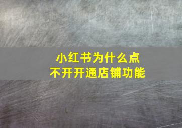 小红书为什么点不开开通店铺功能