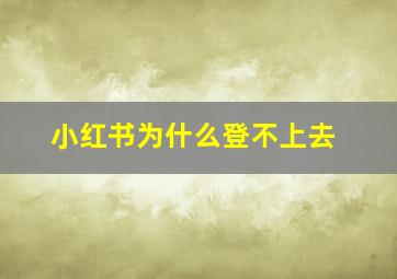 小红书为什么登不上去