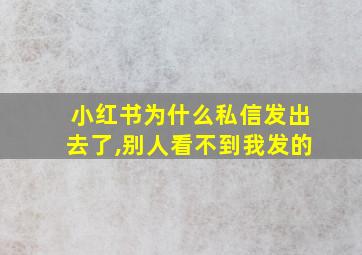 小红书为什么私信发出去了,别人看不到我发的