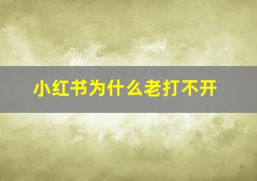 小红书为什么老打不开