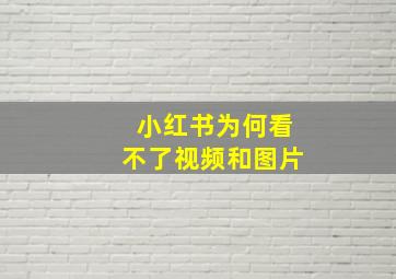 小红书为何看不了视频和图片