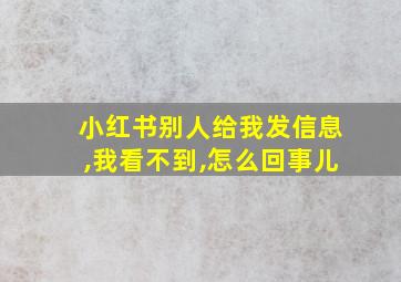 小红书别人给我发信息,我看不到,怎么回事儿