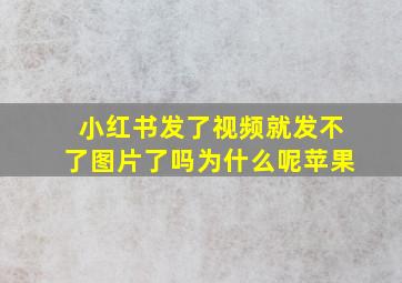 小红书发了视频就发不了图片了吗为什么呢苹果