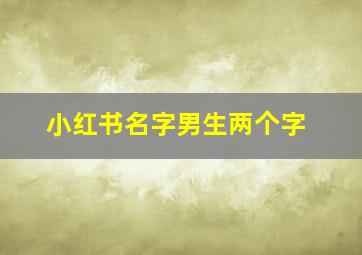 小红书名字男生两个字