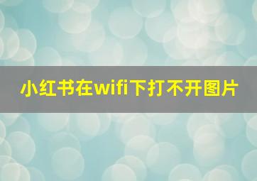 小红书在wifi下打不开图片