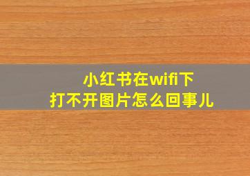 小红书在wifi下打不开图片怎么回事儿