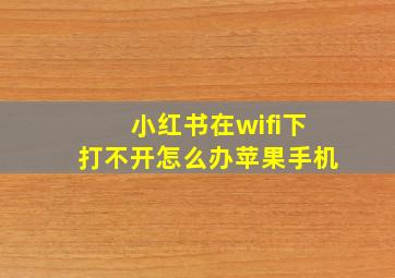 小红书在wifi下打不开怎么办苹果手机