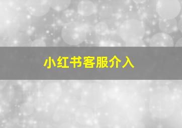 小红书客服介入