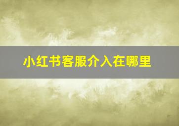 小红书客服介入在哪里