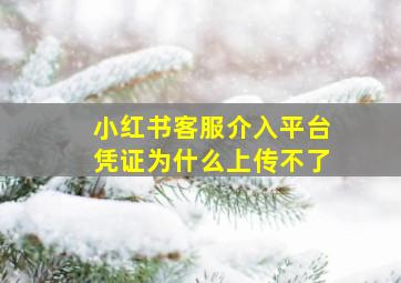 小红书客服介入平台凭证为什么上传不了