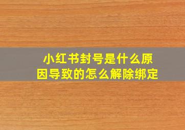 小红书封号是什么原因导致的怎么解除绑定