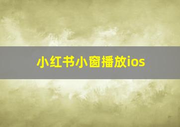 小红书小窗播放ios