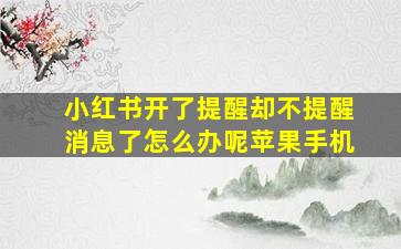 小红书开了提醒却不提醒消息了怎么办呢苹果手机