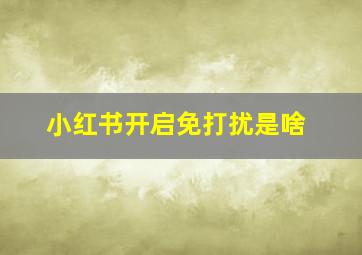 小红书开启免打扰是啥