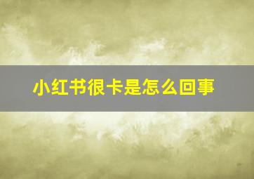 小红书很卡是怎么回事