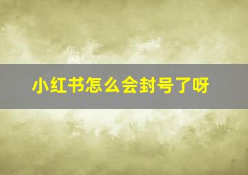 小红书怎么会封号了呀