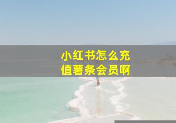 小红书怎么充值薯条会员啊