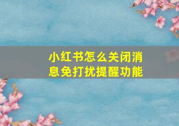 小红书怎么关闭消息免打扰提醒功能