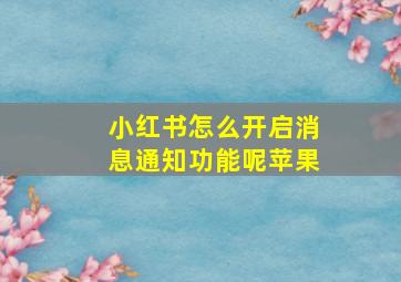 小红书怎么开启消息通知功能呢苹果