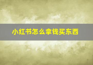 小红书怎么拿钱买东西