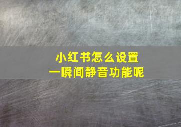 小红书怎么设置一瞬间静音功能呢