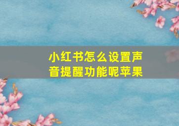 小红书怎么设置声音提醒功能呢苹果