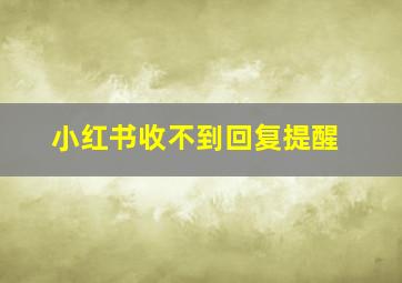 小红书收不到回复提醒