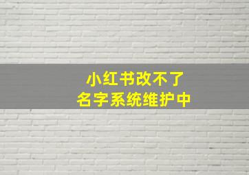 小红书改不了名字系统维护中