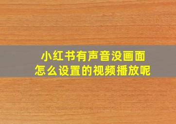 小红书有声音没画面怎么设置的视频播放呢