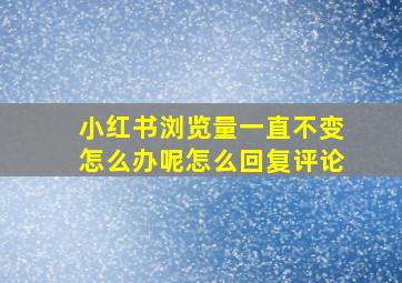 小红书浏览量一直不变怎么办呢怎么回复评论