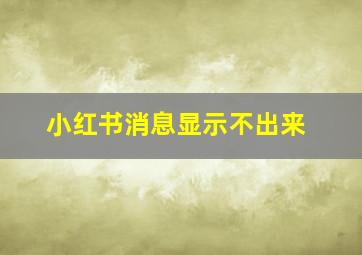 小红书消息显示不出来