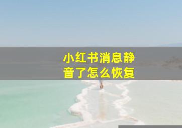 小红书消息静音了怎么恢复