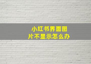 小红书界面图片不显示怎么办