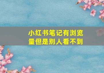 小红书笔记有浏览量但是别人看不到