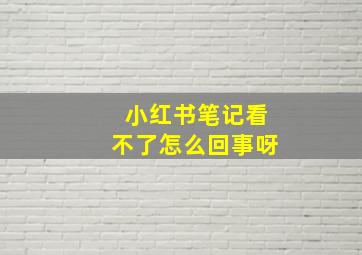 小红书笔记看不了怎么回事呀