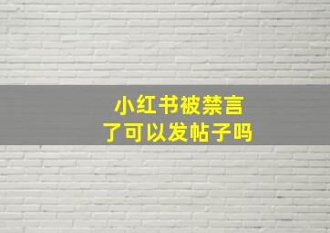 小红书被禁言了可以发帖子吗