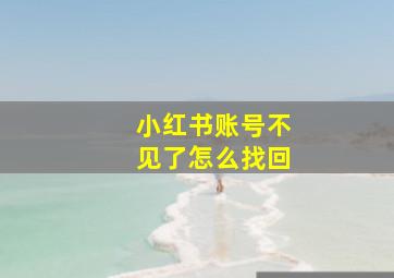 小红书账号不见了怎么找回