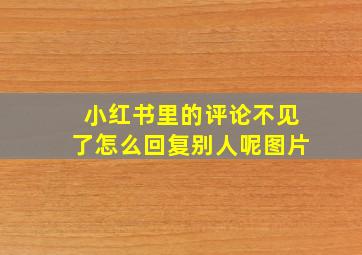 小红书里的评论不见了怎么回复别人呢图片