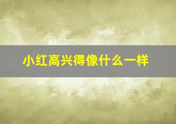 小红高兴得像什么一样