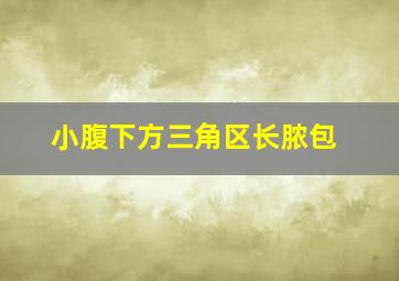 小腹下方三角区长脓包