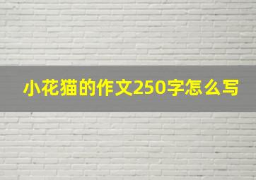 小花猫的作文250字怎么写