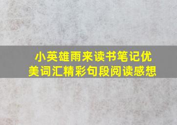 小英雄雨来读书笔记优美词汇精彩句段阅读感想