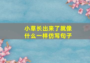 小草长出来了就像什么一样仿写句子