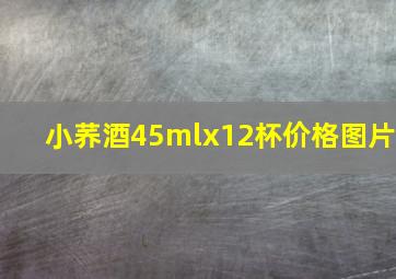 小荞酒45mlx12杯价格图片