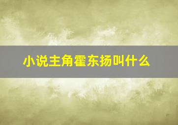 小说主角霍东扬叫什么