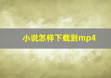 小说怎样下载到mp4